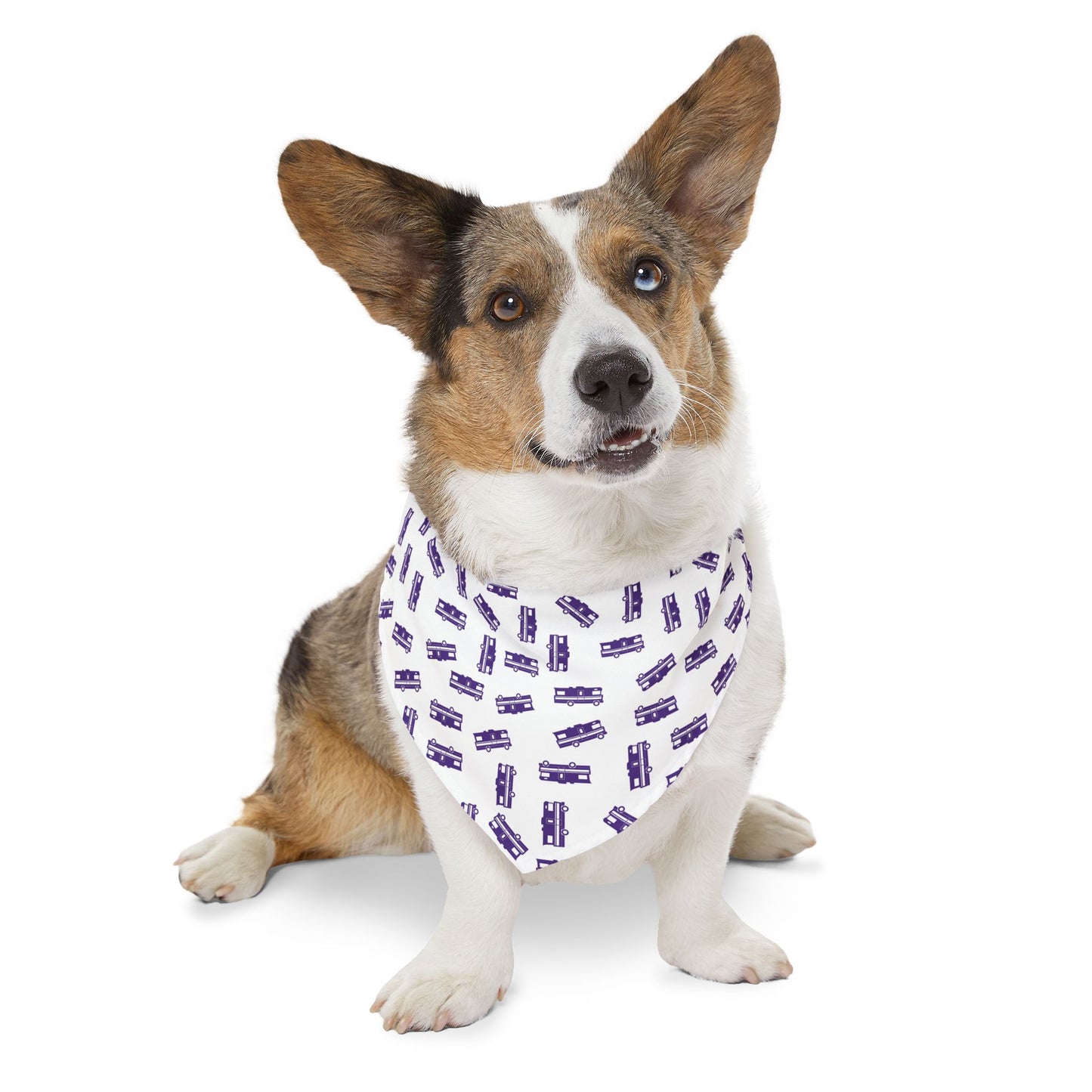 The Party Pup Collar Bandana