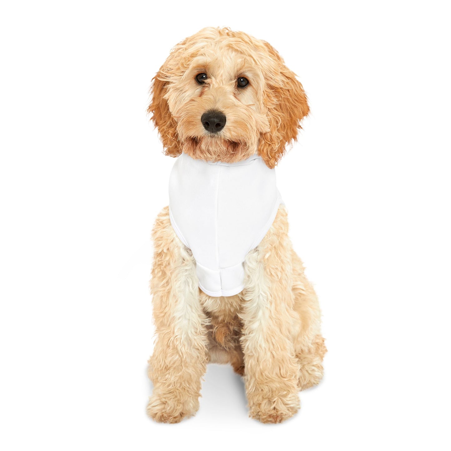 The Party Pup Hoodie