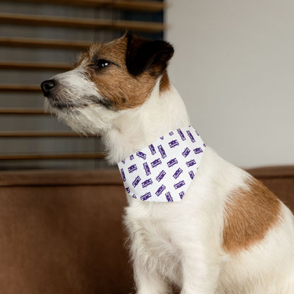 The Party Pup Collar Bandana