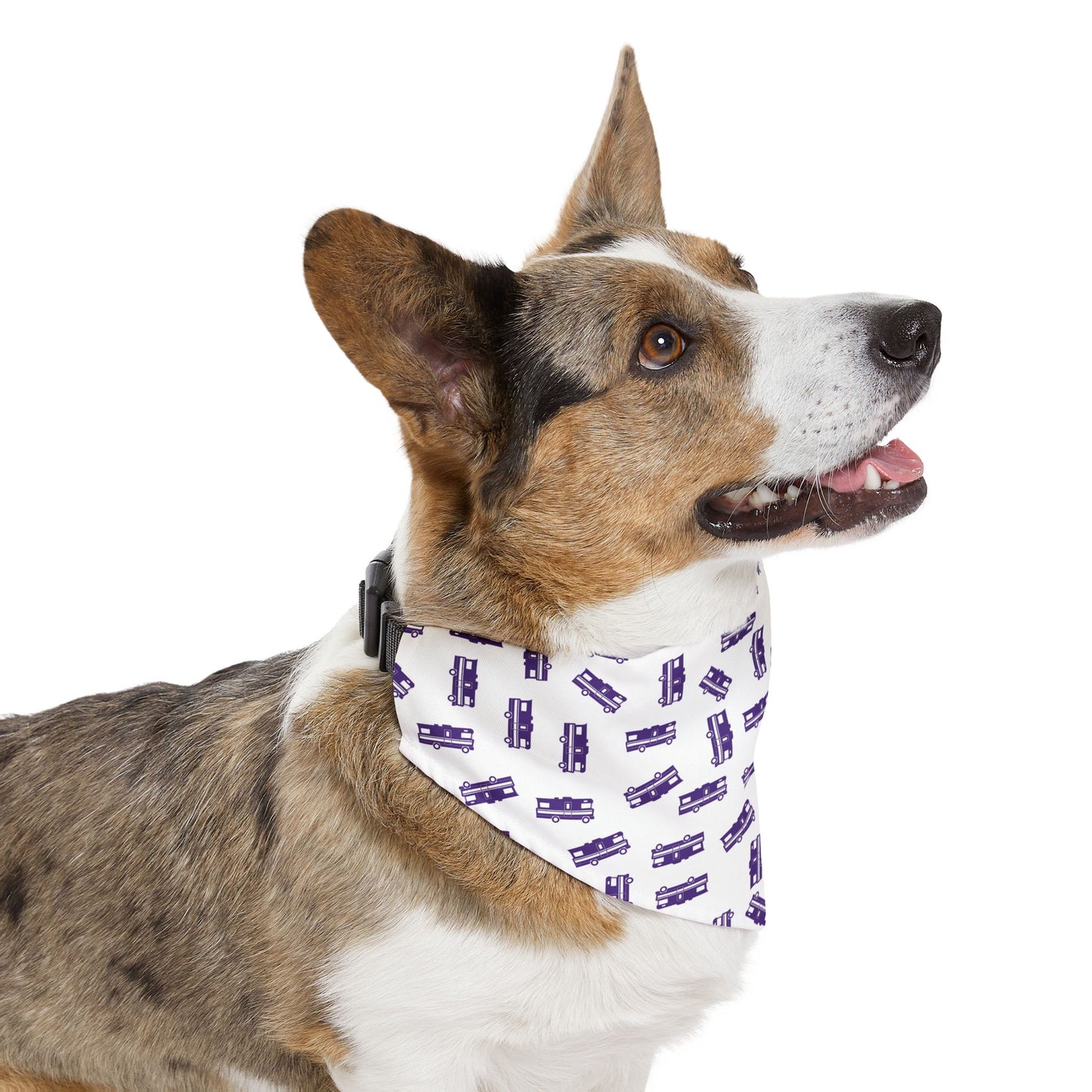 The Party Pup Collar Bandana