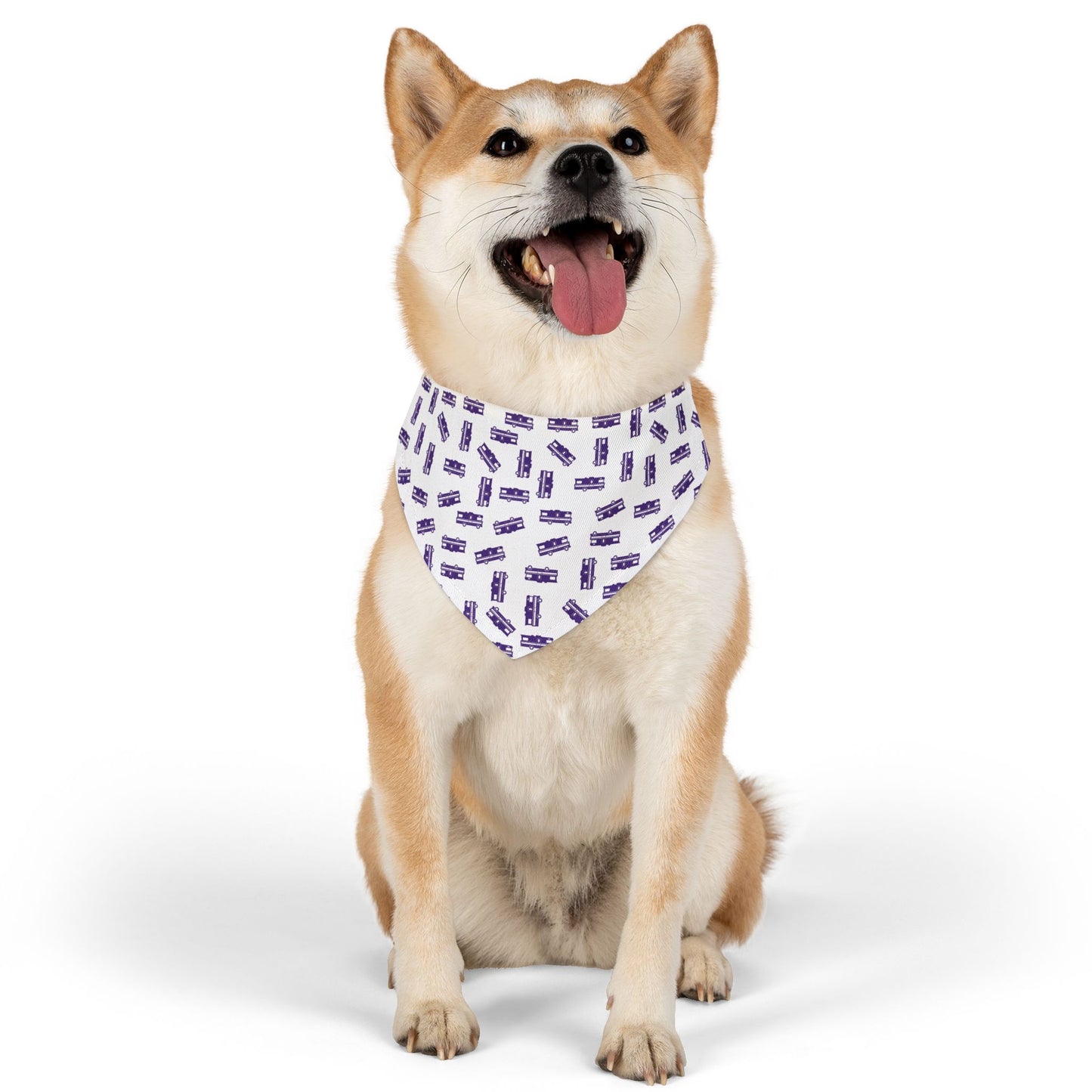 The Party Pup Collar Bandana