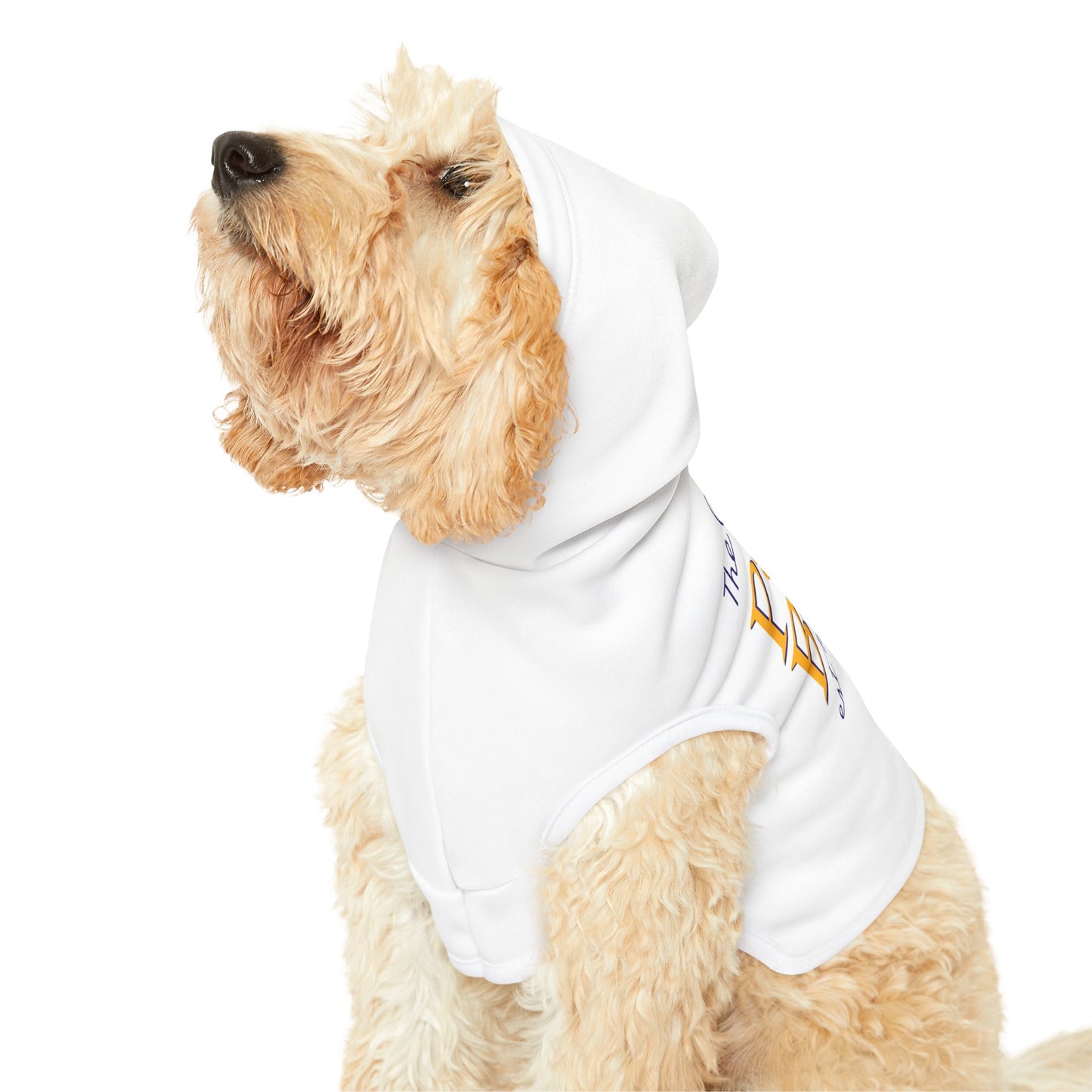 The Party Pup Hoodie