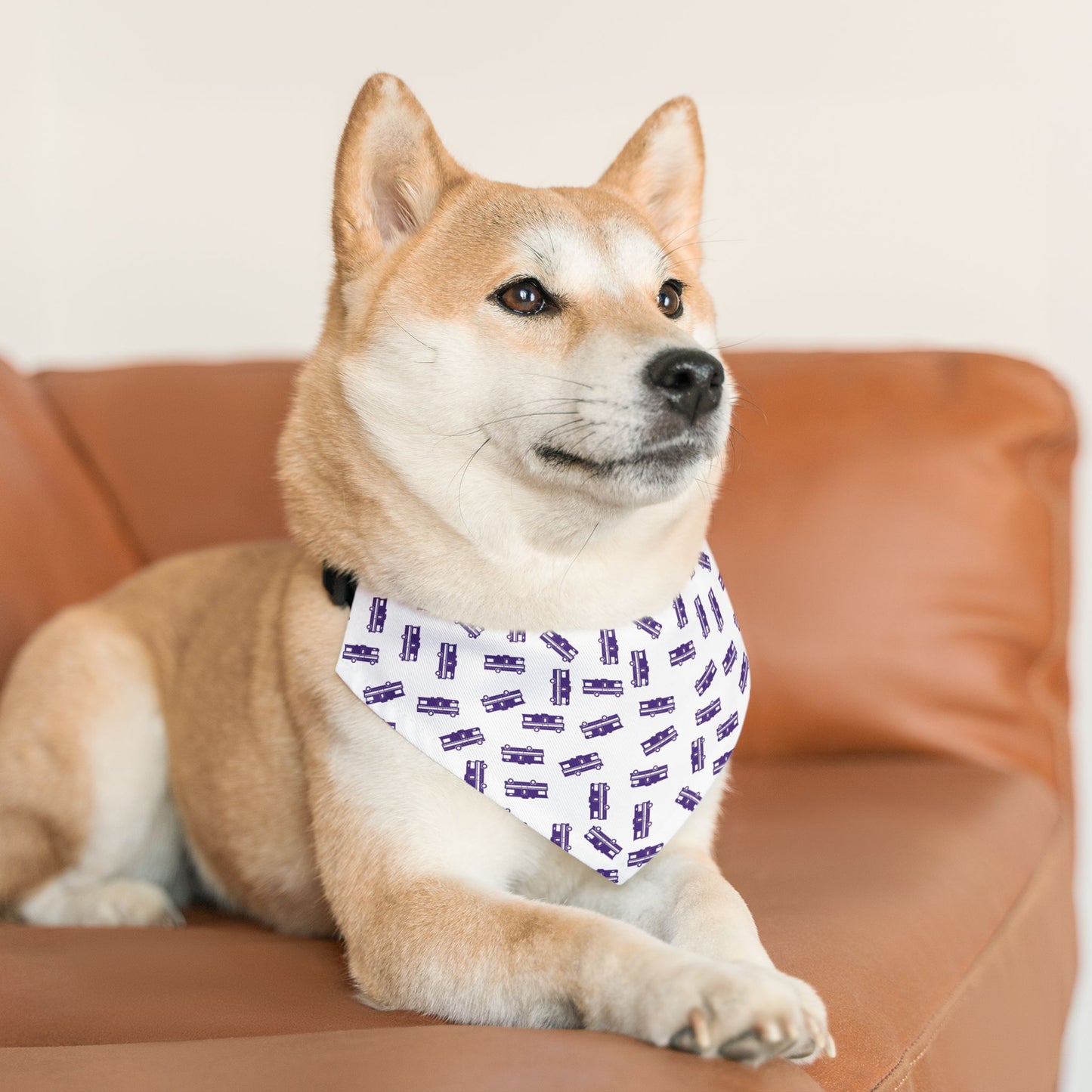 The Party Pup Collar Bandana